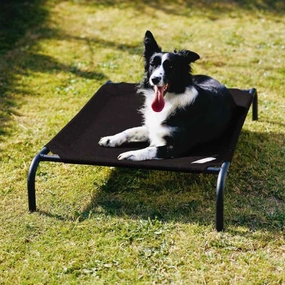 15% OFF: Coolaroo Elevated Knitted Fabric Pet Bed - Charcoal Black orthopedic dog bed,large dog bed,washable dog bed