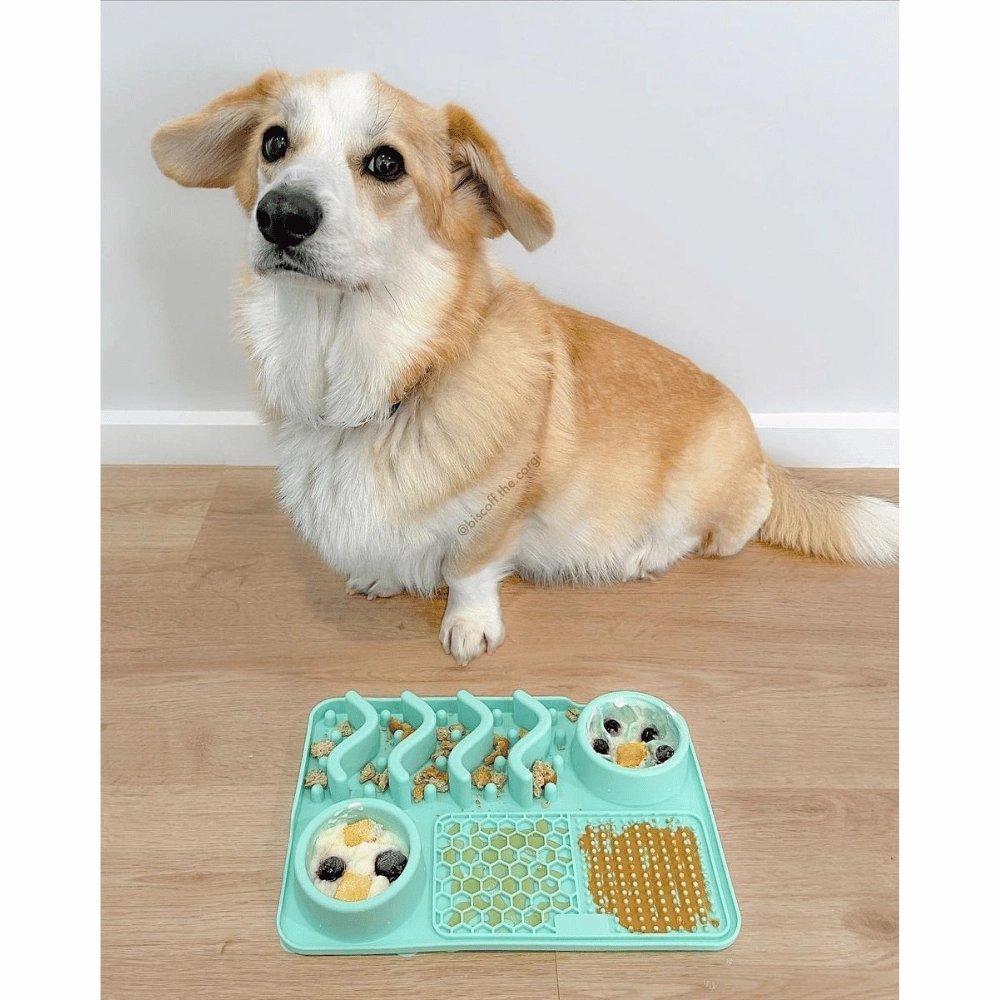 4 In 1 Lick And Slow Feeder Mat