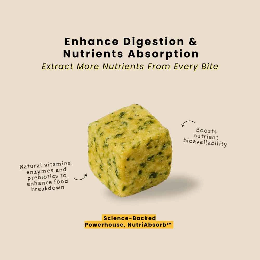 'FREE DEFROSTING TRAY': frashfresh Cooked Lamb NutriAbsorb Frozen Dog Food 2.25kg