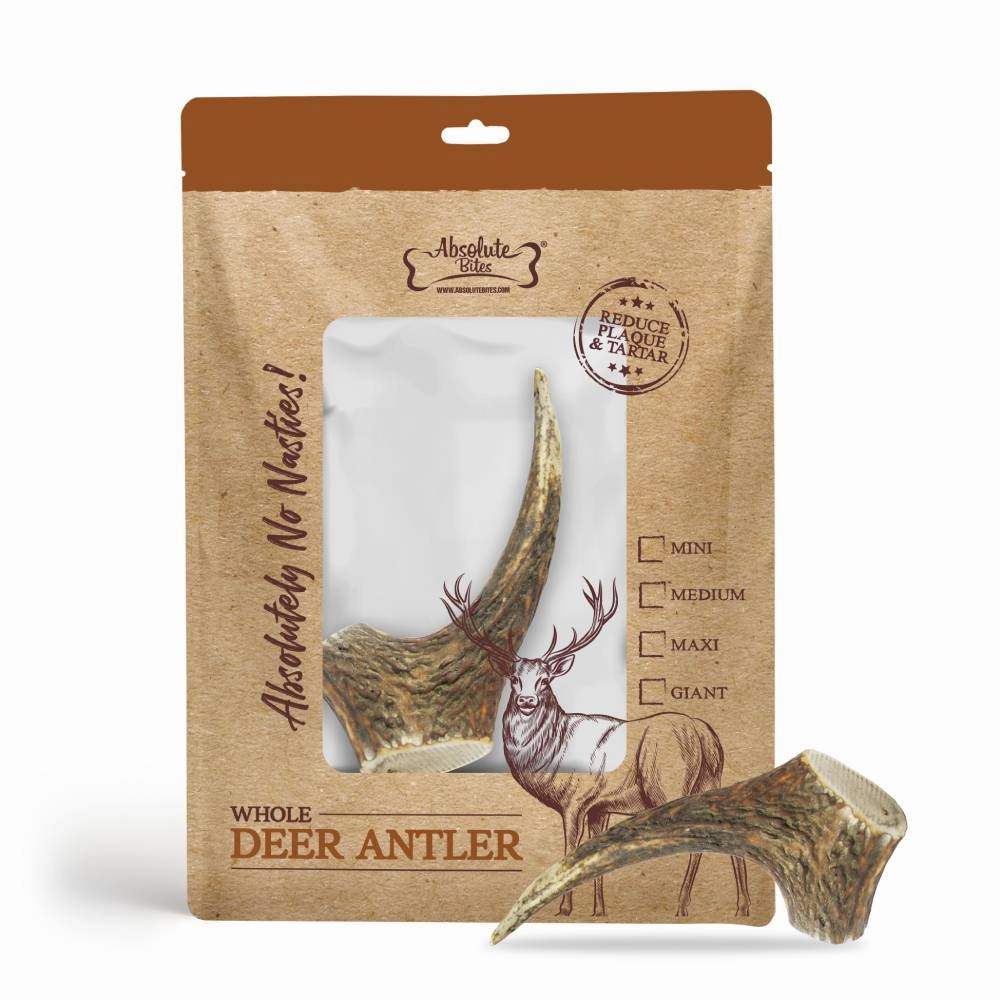 Absolute Bites Whole Deer Antlers Dental Chew Maxi dental dog chews,vet approved chews,teeth cleaning treats