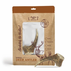 Absolute Bites Whole Deer Antlers Dental Chew Medium dental dog chews,vet approved chews,teeth cleaning treats