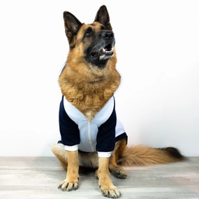 DogWear