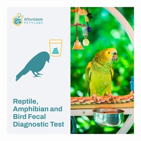 Affordable Pet Labs - Reptile, Amphibian & Bird Fecal Diagnostic Test, Easy Home Kit soft chew treat,chewy dog snacks,tender bites for dogs