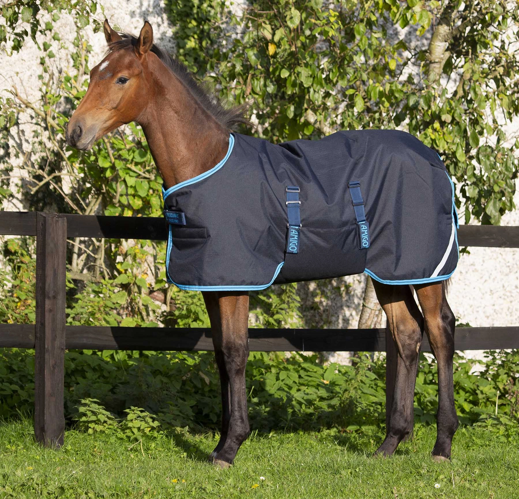 Amigo 600D Foal Blanket horse blanket,poultry bed sheet,equine sheets