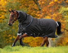 Amigo Bravo 12 Plus, 1200D, 250 gram, Medium Weight Turnout Blanket horse blanket,poultry bed sheet,equine sheets