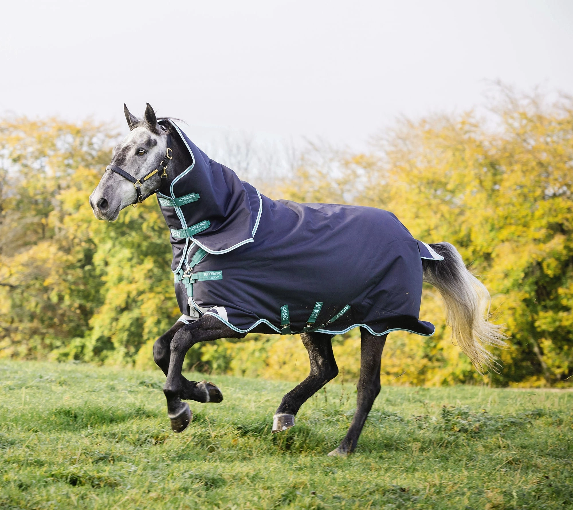 Amigo Bravo 12 Plus Horse Turnout Blanket with 250 gram fill, Navy/Aqua horse blanket,poultry bed sheet,equine sheets