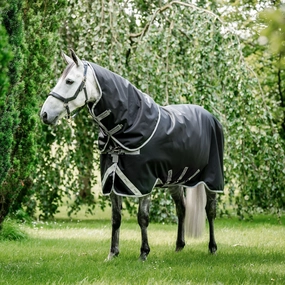 Amigo Bravo 12 Plus Turnout, 250 Gram, Black/Titanium horse blanket,poultry bed sheet,equine sheets