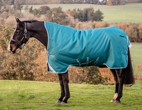 Amigo Bravo 12 Wug, 1200D, Lite, Storm Green horse blanket,poultry bed sheet,equine sheets