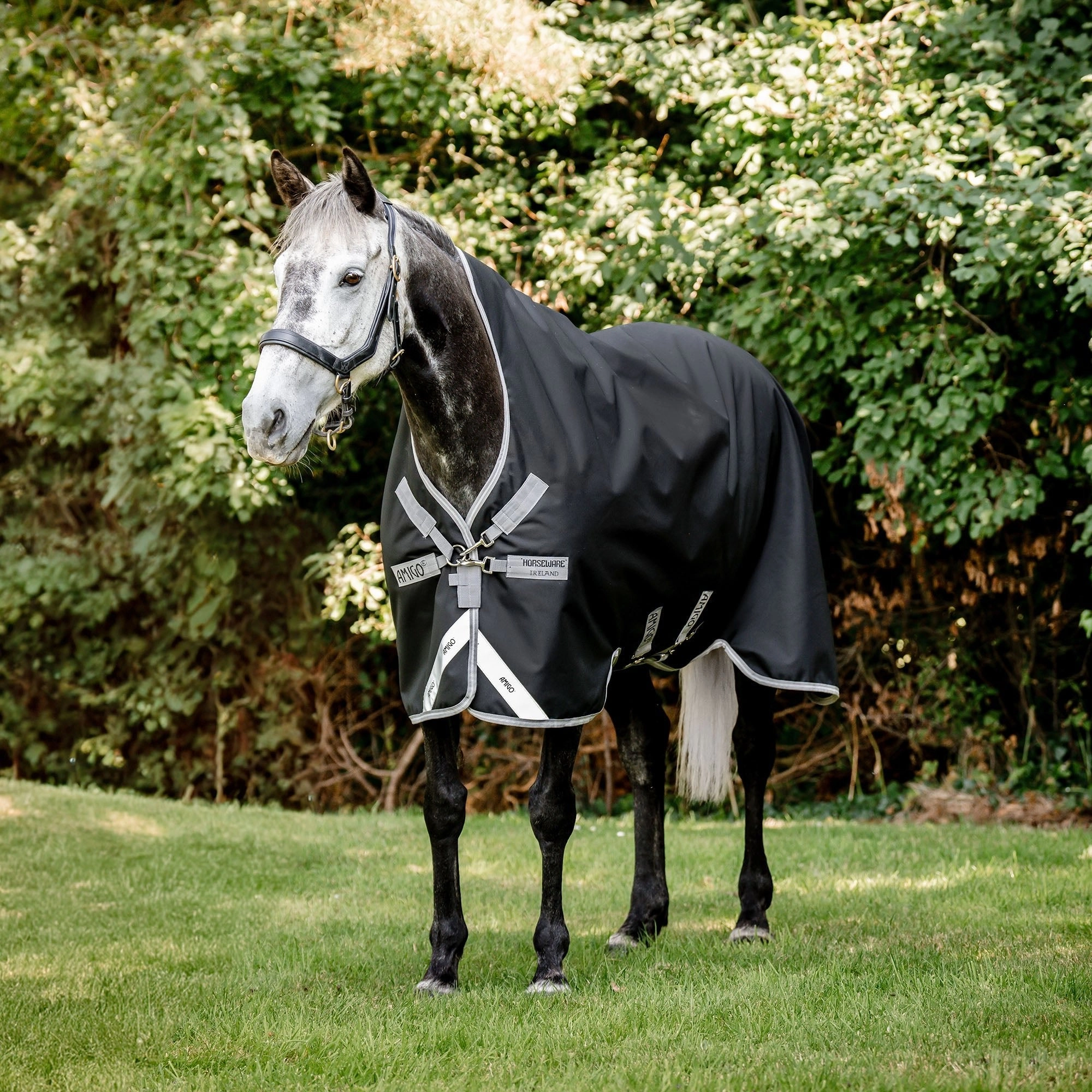Amigo Bravo 12 Wug, 250 Gram, Black/Titanium horse blanket,poultry bed sheet,equine sheets