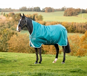 Amigo Bravo 12 Wug, 250 gram Horse Blanket, Storm Green horse blanket,poultry bed sheet,equine sheets