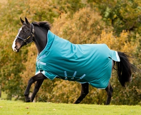 Amigo Bravo 12 Wug, 400g Heavy, Storm Green horse blanket,poultry bed sheet,equine sheets