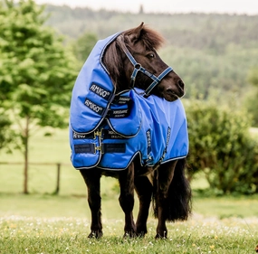Amigo Hero 6 Petite Plus, Blue/Navy horse blanket,poultry bed sheet,equine sheets