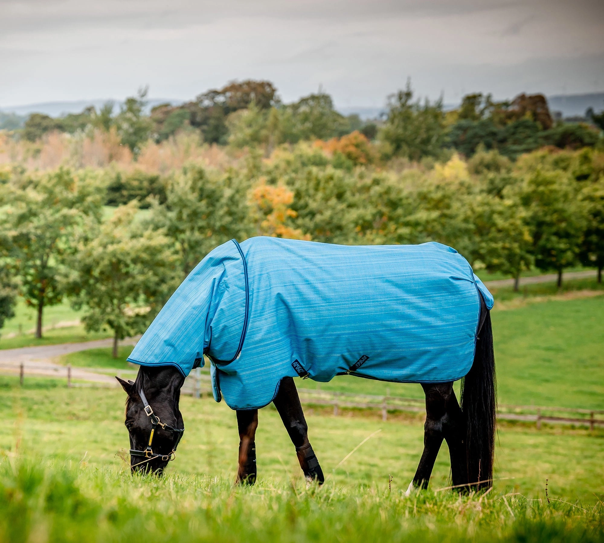 Amigo Hero 900 Revive Plus Medium Weight Horse Turnout Blanket horse blanket,poultry bed sheet,equine sheets