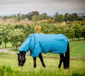 Amigo Hero 900 Revive Plus Medium Weight Horse Turnout Blanket horse blanket,poultry bed sheet,equine sheets