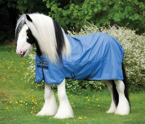 Amigo Hero ACY XL Lite Turnout Blanket, Blue/Gunmetal horse blanket,poultry bed sheet,equine sheets