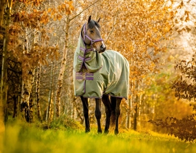 Amigo Hero Ripstop Plus, 100 Gram, Bramble/Winterberry horse blanket,poultry bed sheet,equine sheets