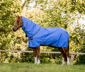Amigo Hero Ripstop Plus Lightweight Horse Turnout Blanket horse blanket,poultry bed sheet,equine sheets