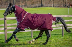 Amigo Hero Ripstop Plus Medium Weight Horse Turnout Blanket horse blanket,poultry bed sheet,equine sheets