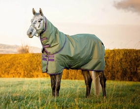 AMIGO Hero Ripstop Plus Medium Weight Turnout Blanket horse blanket,poultry bed sheet,equine sheets