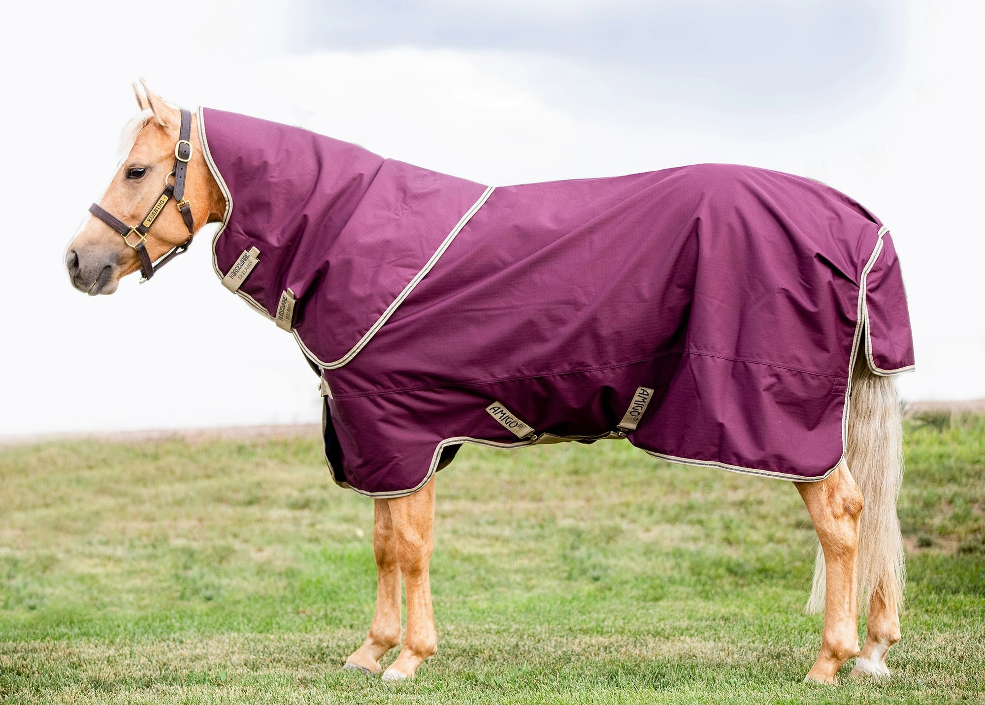 Amigo Hero Ripstop Plus Turnout, Fig/Navy horse blanket,poultry bed sheet,equine sheets