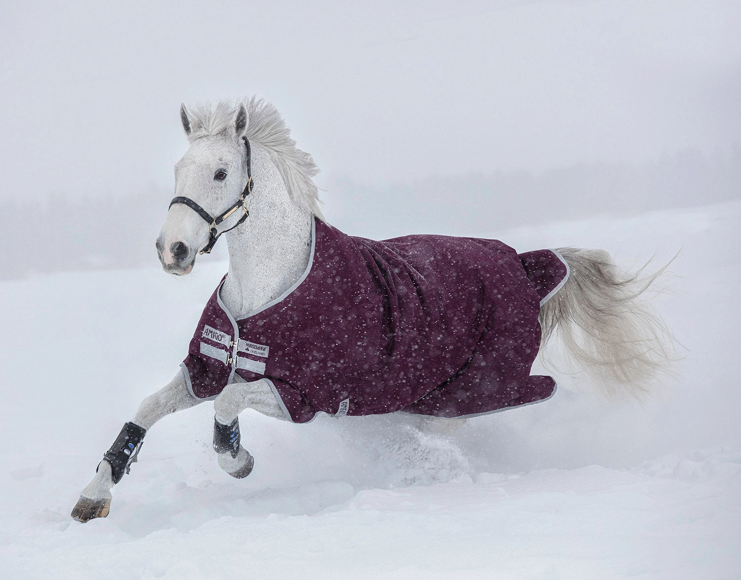 Amigo Hero Ripstop Turnout Blanket, 200 Gram, Fig/Silver horse blanket,poultry bed sheet,equine sheets