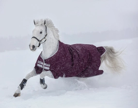 Amigo Hero Ripstop Turnout Blanket, 200 Gram, Fig/Silver horse blanket,poultry bed sheet,equine sheets