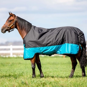 Amigo Mio Turnout, Medium Weight horse blanket,poultry bed sheet,equine sheets