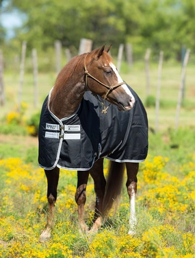 Amigo Stock Horse Lightweight Turnout Sheet horse blanket,poultry bed sheet,equine sheets