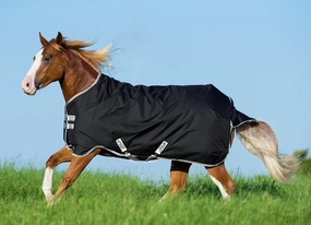 Amigo Stock Medium Weight Horse Turnout Blanket horse blanket,poultry bed sheet,equine sheets