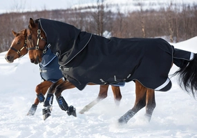 Amigo Super Bravo Plus Medium Horse Turnout Blanket horse blanket,poultry bed sheet,equine sheets