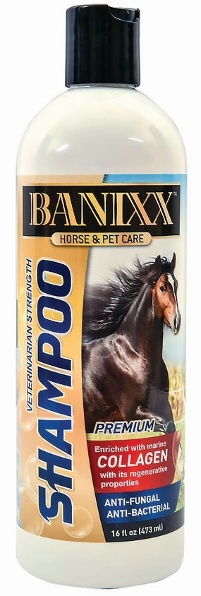 Banixx Veterinary Strength Shampoo, 16 oz grooming scissors,grooming tool kit,clipper for pets