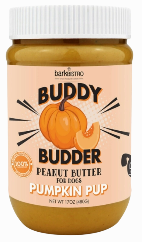 Bark Bistro Pumpkin Pup Buddy Budder 17oz Jar stainless steel bowl,metal pet feeder,steel water dish