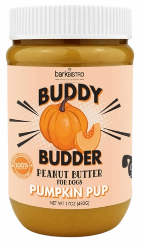 Bark Bistro Pumpkin Pup Buddy Budder 17oz Jar stainless steel bowl,metal pet feeder,steel water dish