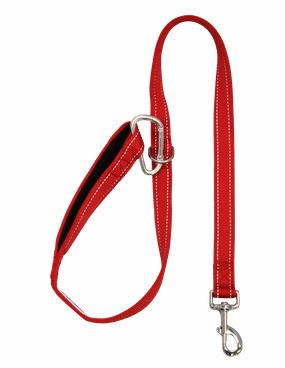BayDog Hudson Bay Dog Leash 6' - Clifford Red dog bow tie,pet bandana,dog scarf
