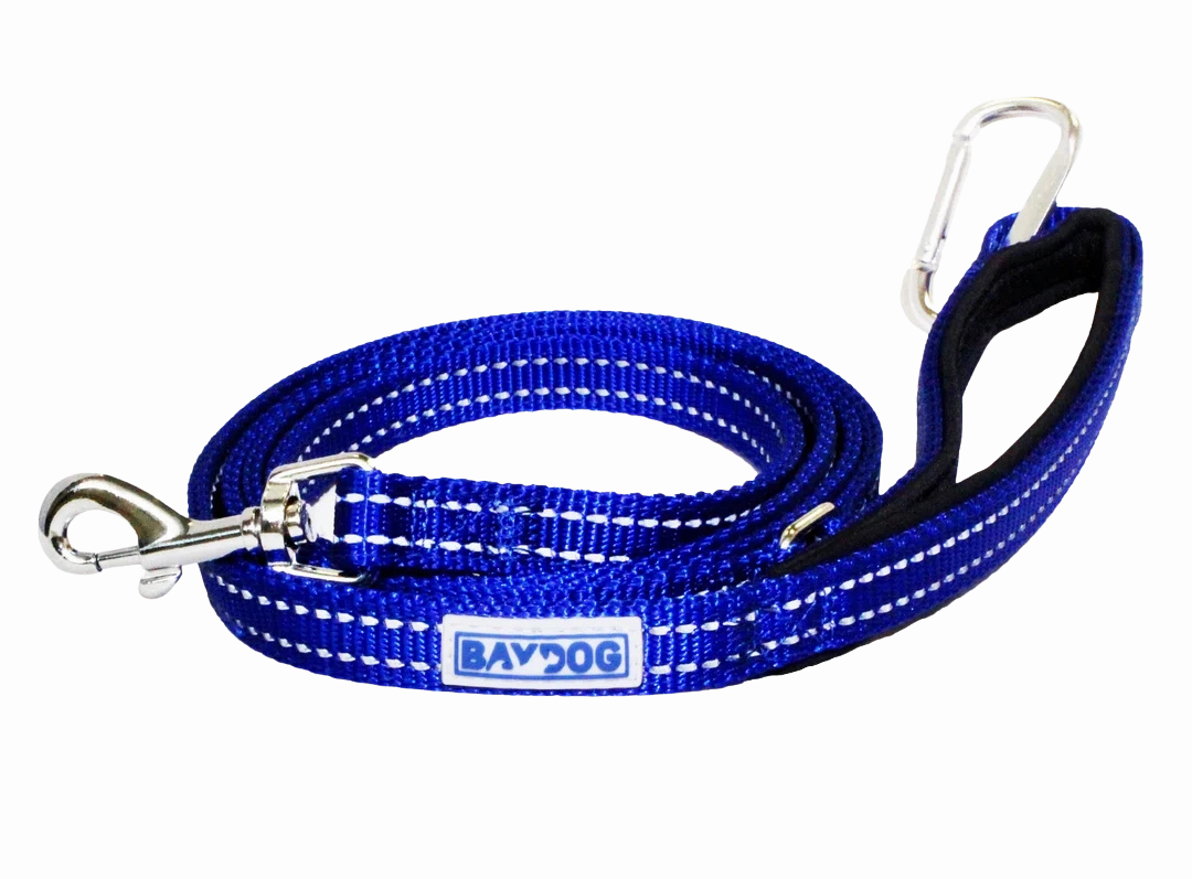BayDog Pensacola Bay Dog Leash 6' for Small Dogs - Baydog Blue