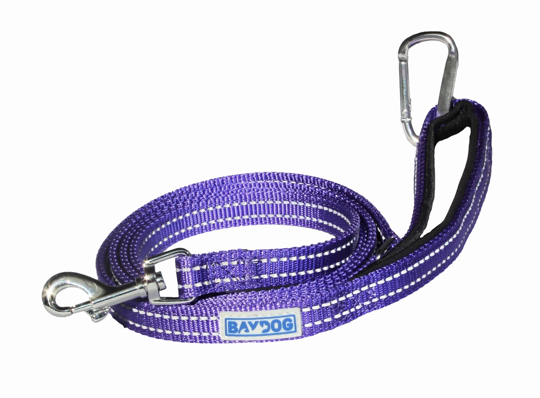 BayDog Pensacola Bay Dog Leash 6' for Small Dogs - Lavender