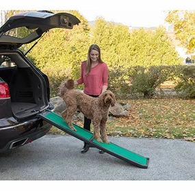 Bi-fold Travel Lite Pet Ramp With SupertraX in Black-Green treat storage jar,dog treat container,pet snack jar
