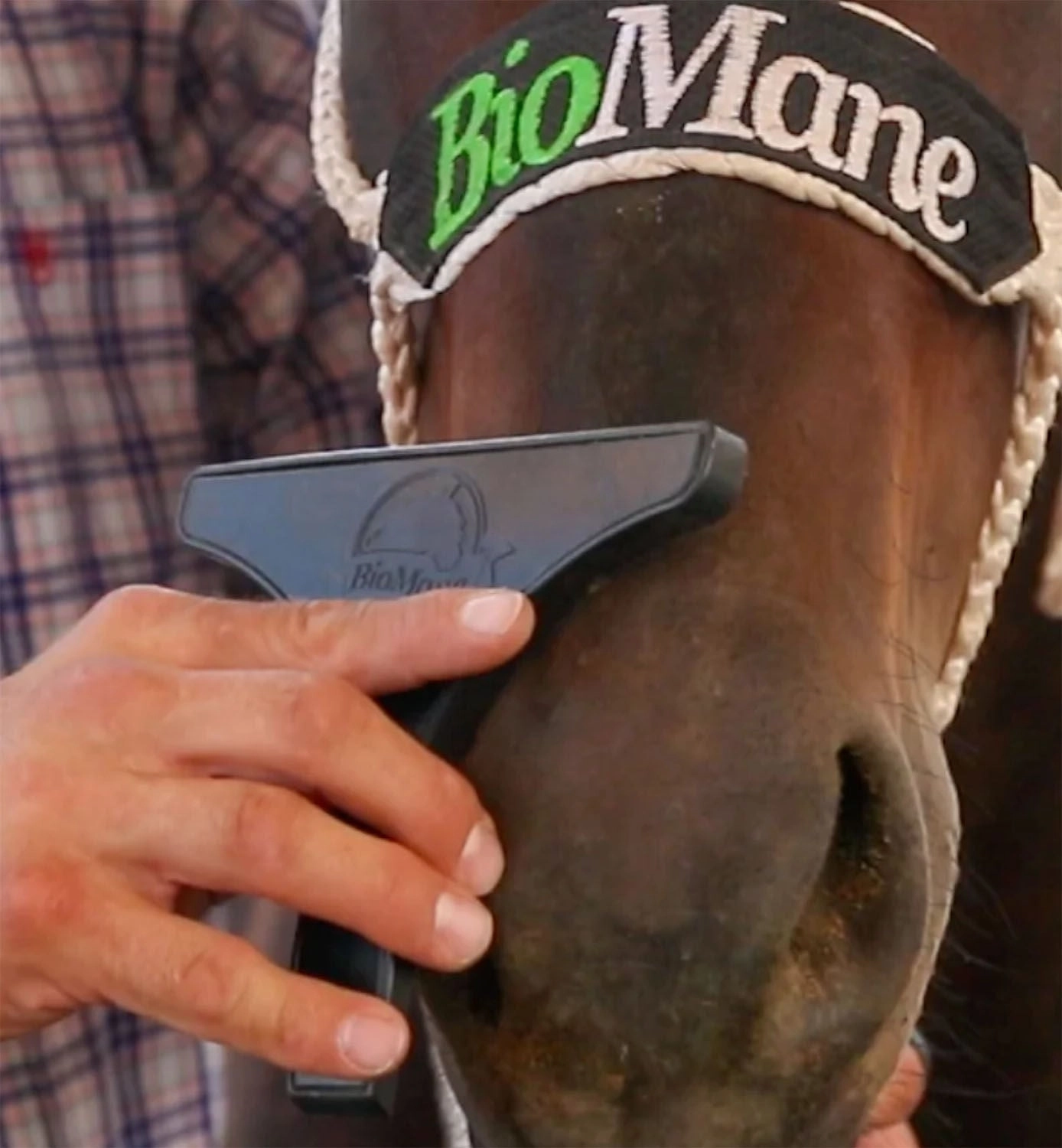 BioMane Horse Grooming Tool