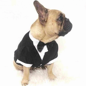 Black Tuxedo Small - Medium Dogs english tack set,horse saddle gear,equestrian supplies