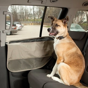 Car Door Guard treat storage jar,dog treat container,pet snack jar