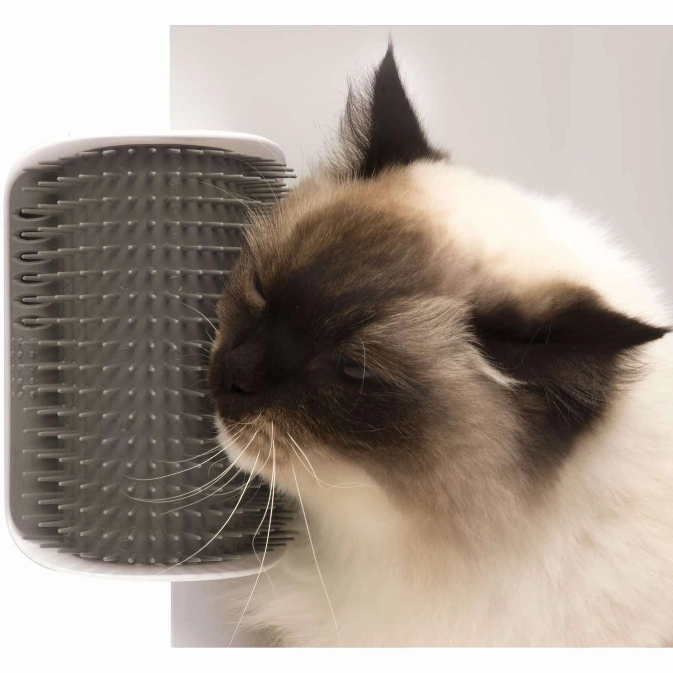 Catit Design Senses 2.0 Self Groomer pet grooming brush,pet comb,detangling brush for pets