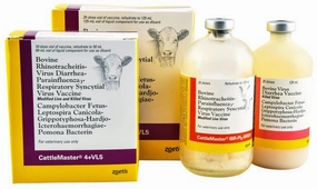 CattleMaster 4   VL5 Cattle Vaccine gourmet cat wet food,chicken in broth cat,fish recipe cat food