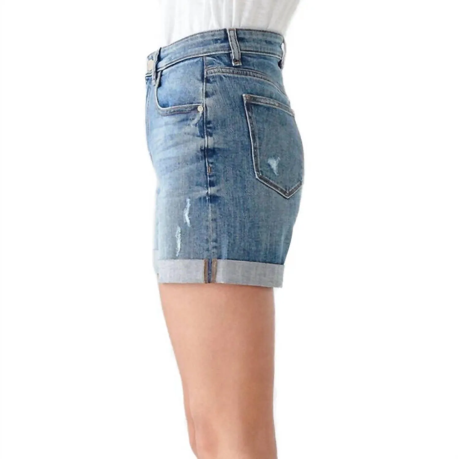 Cecilia Classic Short In Lambert