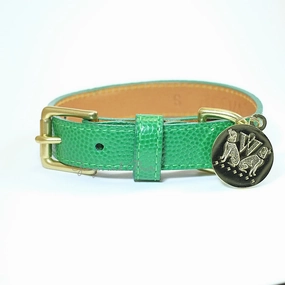 Central Park Dog Collar - Green dog collar,leather dog collar,adjustable dog collar