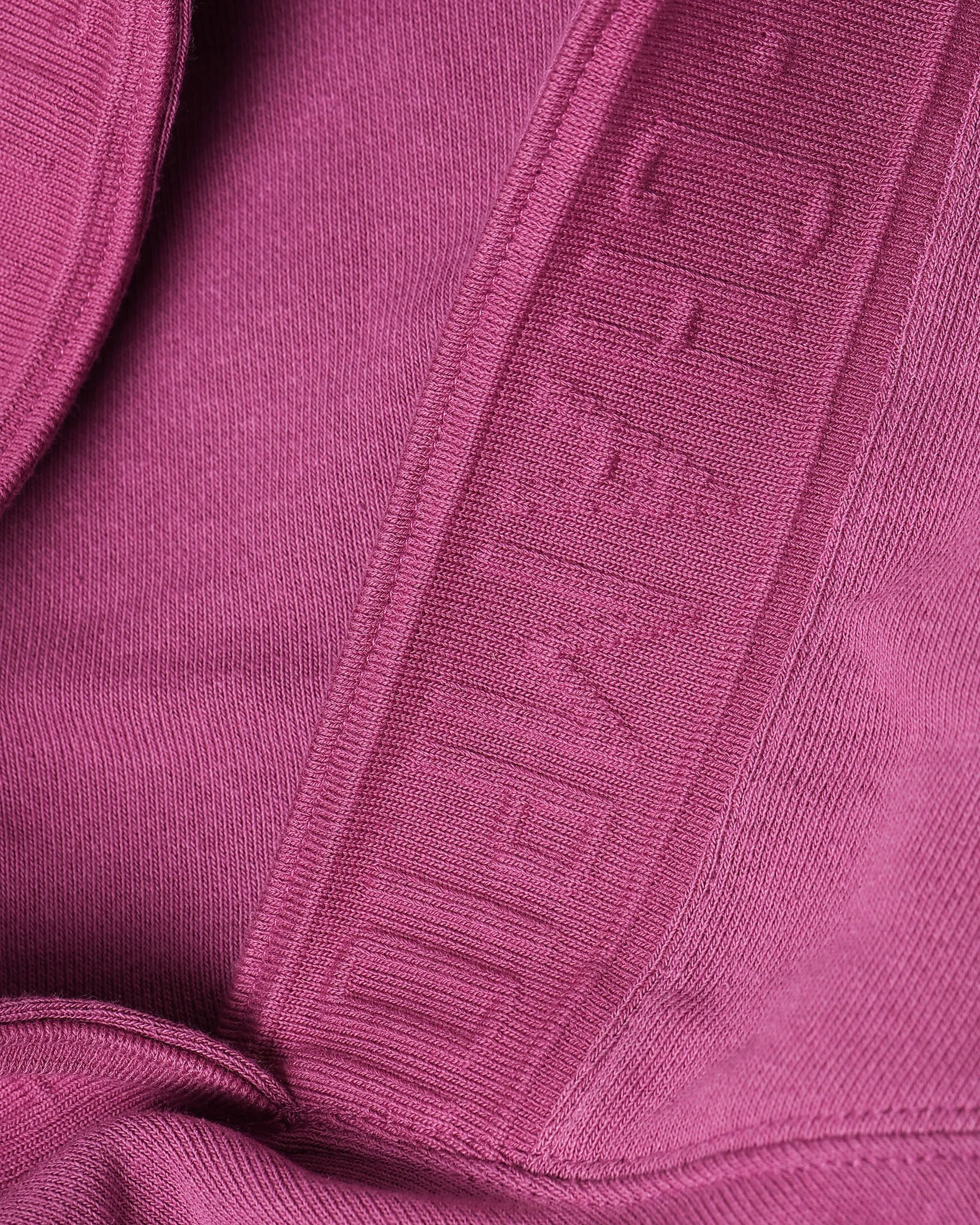 Champion Reverse Weave Terry Tape Hoodie Berry