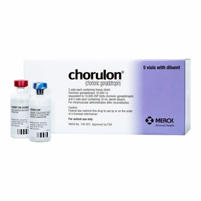Chorulon HCG Injection for Cattle gourmet cat wet food,chicken in broth cat,fish recipe cat food