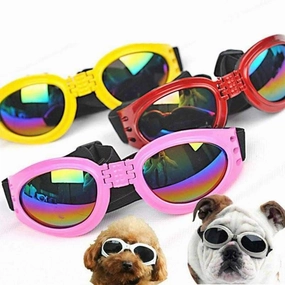 Classic Dog Goggles english tack set,horse saddle gear,equestrian supplies