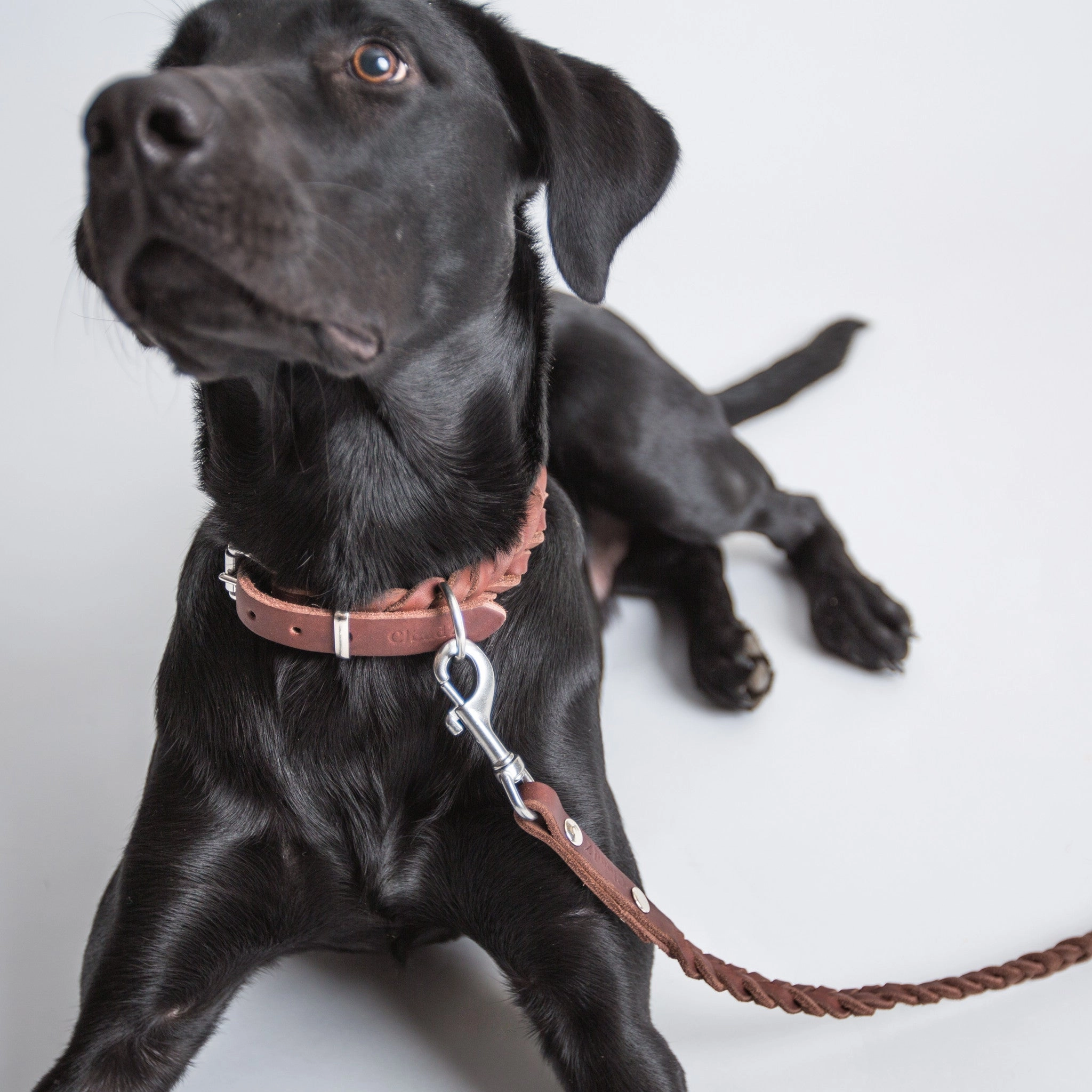 Cloud7: Central Park Saddle Brown Leather Dog Collar