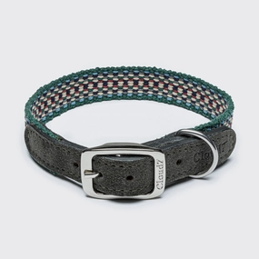 Cloud7: Prater Dog Collar in Forest dog collar,leather dog collar,adjustable dog collar