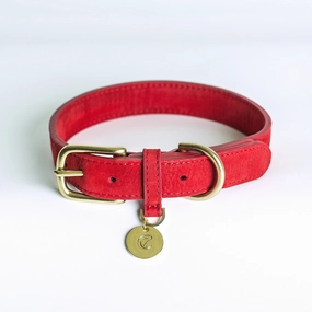 Cloud7: Tiergarten Nubuck Dog Collar in Cherry Red dog collar,leather dog collar,adjustable dog collar